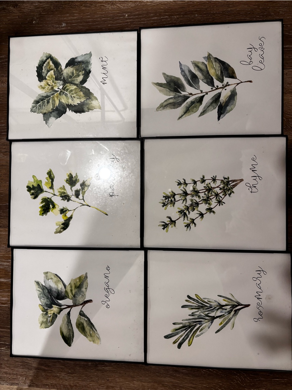 Botanical Herb Wall Art Set - Green